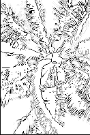 Секреты имитации текстур