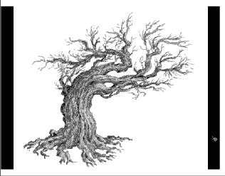 Решение проблемы в Photoshop