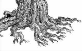 Изолирование и усиление выразительности рисунка дерева