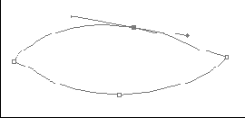 Изолирование и усиление выразительности рисунка дерева