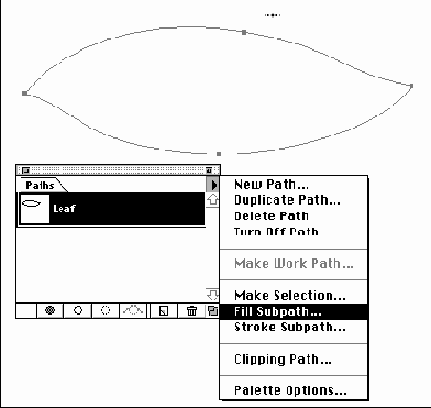 Создание набора кистей в форме листьев различной угловой ориентации