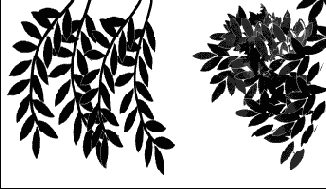 Создание набора кистей в форме листьев различной угловой ориентации