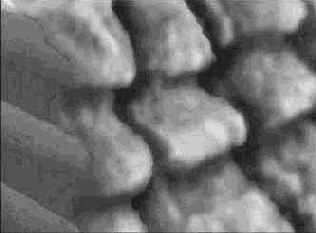 Живопись на текстурной основе