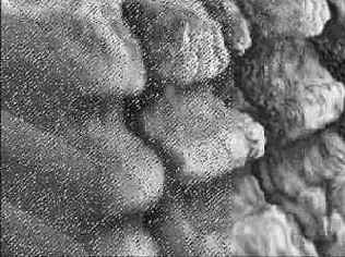 Живопись на текстурной основе