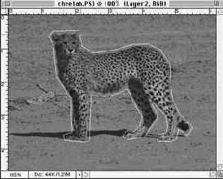 Закрашивание слоя заднего плана