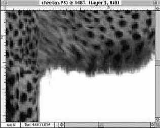 Выделение прядей волос