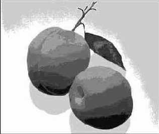 Переключение в режим индексированных цветов