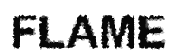 FLAME