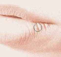 Давайте взглянем на все изображение