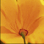 Создайте новый слой. Установите цвета