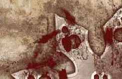 и создайте копию этого слоя.