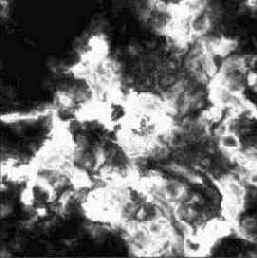 Теперь дублируйте этот получившийся слой.