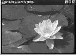 Инструменты группы Лассо (Lasso)