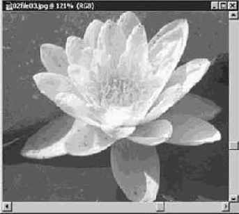 Инструменты группы Лассо (Lasso)