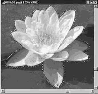 Инструменты группы Лассо (Lasso)