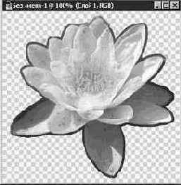 Инструменты группы Лассо (Lasso)