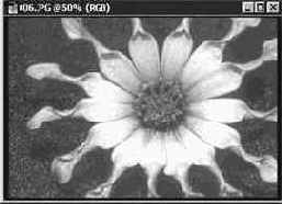 Инструмент Волшебная палочка (Magic Wand): выделение областей по признаку цвета пикселей