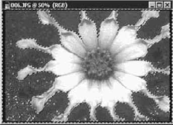 Инструмент Волшебная палочка (Magic Wand): выделение областей по признаку цвета пикселей
