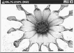 Инструмент Волшебная палочка (Magic Wand): выделение областей по признаку цвета пикселей