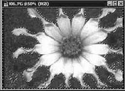 Инструмент Волшебная палочка (Magic Wand): выделение областей по признаку цвета пикселей