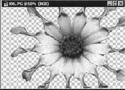 Инструмент Волшебная палочка (Magic Wand): выделение областей по признаку цвета пикселей