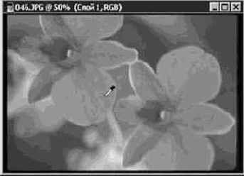 Инструмент Пипетка (Eyedropper)