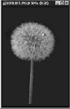 Инструмент Paint Bucket (Заливка)