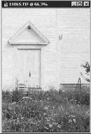 Режимы Битовый (Bitmap ) и Градации серого (Grayscale)