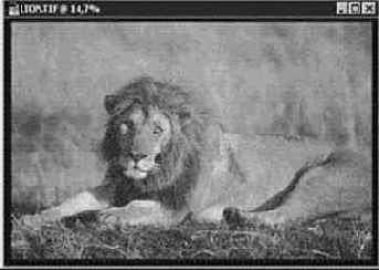 Преобразование из битового режима в градации серого и обратно