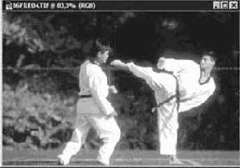 Инструмент Затемнитель (Burn)