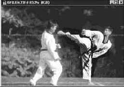 Инструмент Затемнитель (Burn)