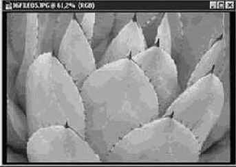 Инструмент Губка (Sponge)