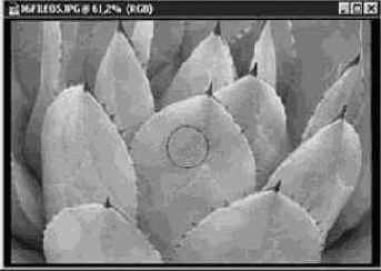 Инструмент Губка (Sponge)