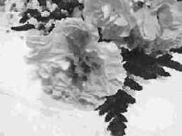 Фильтр Шпатель (Palette Knife)