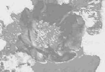 Фильтр Мел и уголь (Chalk and Charcoal)