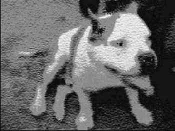 Фильтр Волшебный карандаш (Conte Crayon)