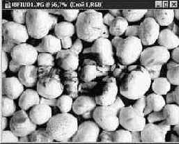 Общее понятие о слоях