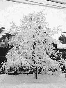 Ретуширование в цвете