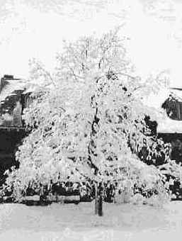 Ретуширование в цвете