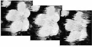 Фильтр Ветер (Wind)