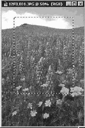 Применение фильтров к отдельным частям изображения