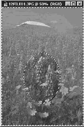 Ослабление эффекта фильтров