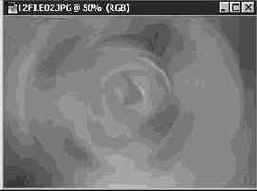 Фильтр Радиальное размытие (Radial Blur)