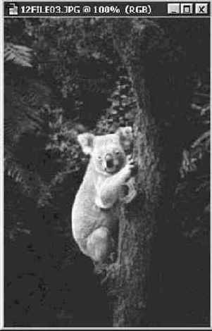 Фильтры настройки резкости