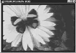 Фильтр Ветер (Wind)