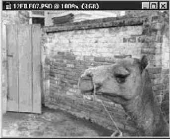 Фильтры семейства Оформление (Pixelate)