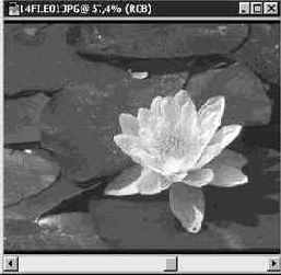 Формат GIF (Graphics Interchange Format)