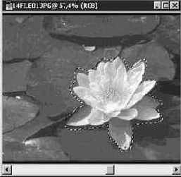 Формат GIF (Graphics Interchange Format)