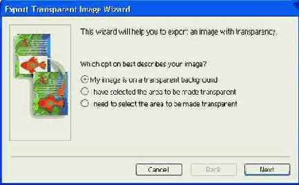 ���� ������� �������� ����������