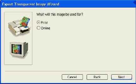 ���� ������� �������� ����������